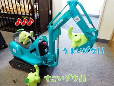 エコファント8