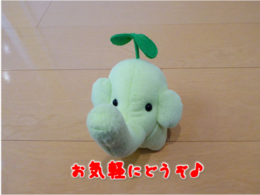 エコファント8