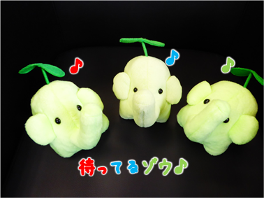 エコファント9