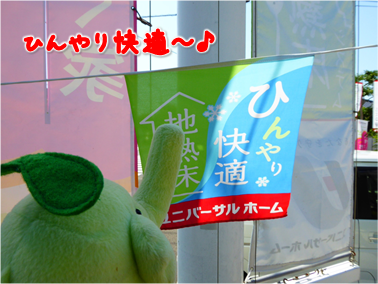 エコファント1
