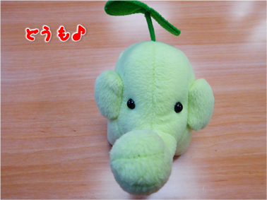 エコファント1