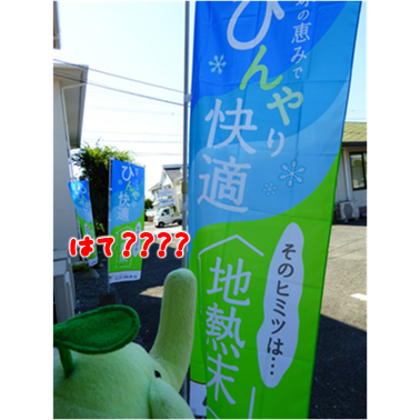 エコファント2