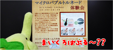 エコファント2