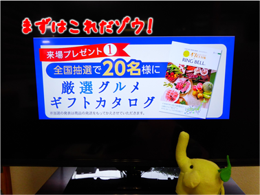 エコファント2