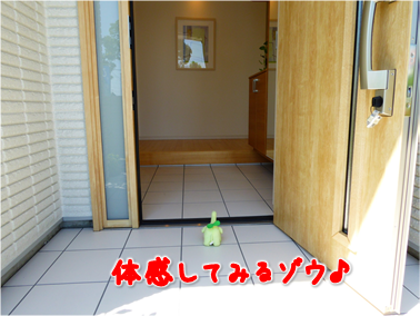 エコファント3