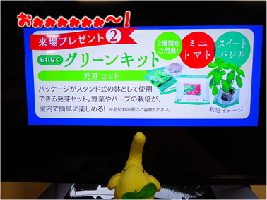 エコファント3