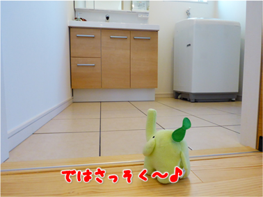 エコファント4