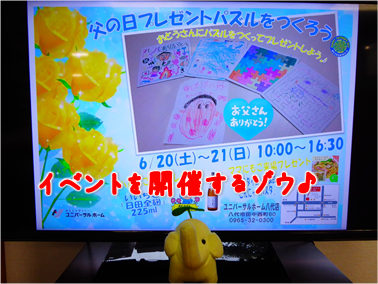 エコファント4