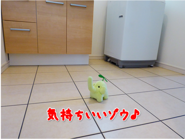 エコファント5