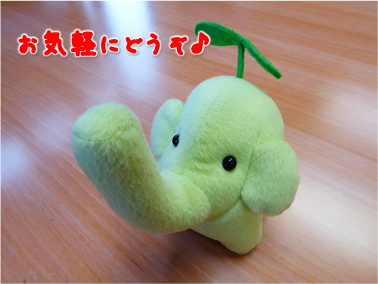 エコファント6