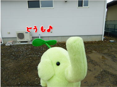 エコファント1