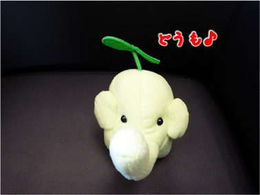 エコファント1