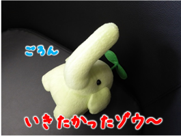 エコファント2