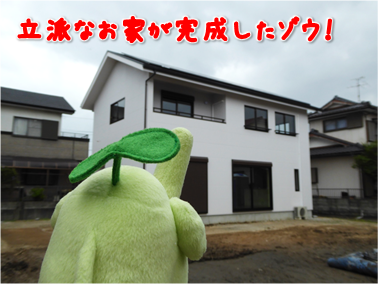 エコファント2