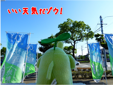 エコファント2