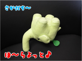 エコファント3