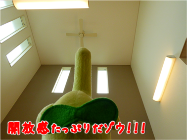 エコファント3