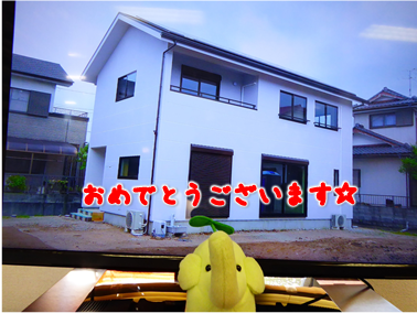 エコファント3