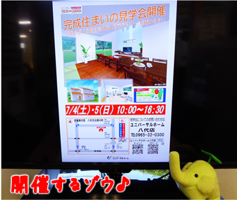 エコファント4