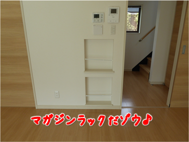 エコファント4