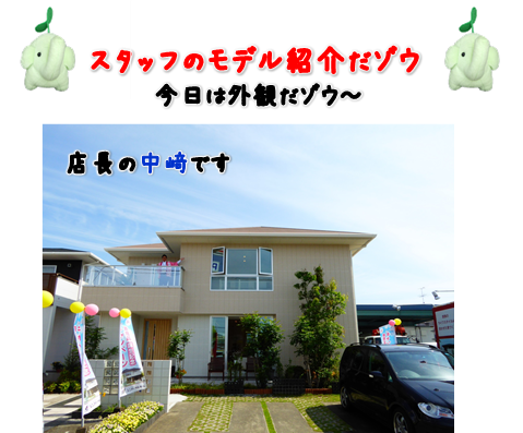 スタッフ写真