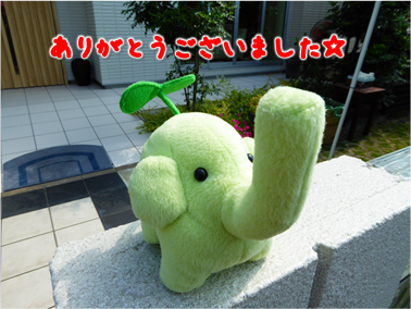 エコファント1