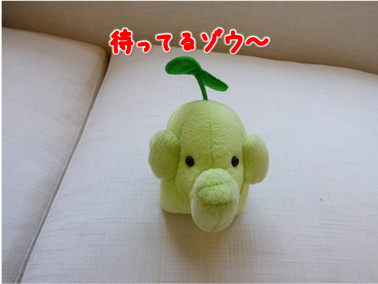 エコファント10