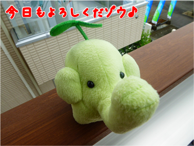 エコファント1