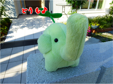 エコファント1