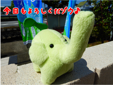 エコファント1