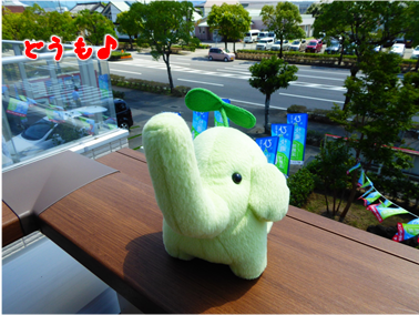 エコファント1