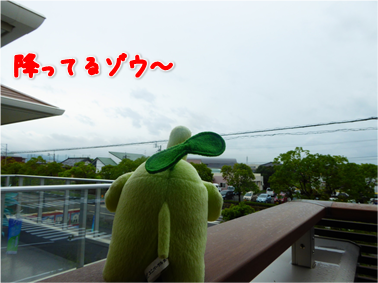 エコファント2