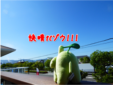 エコファント2