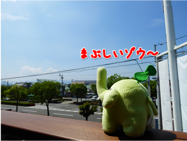 エコファント2