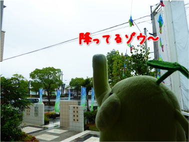 エコファント2