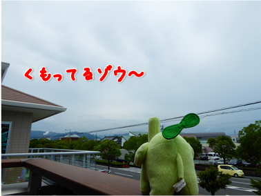 エコファント2