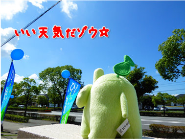 エコファント2