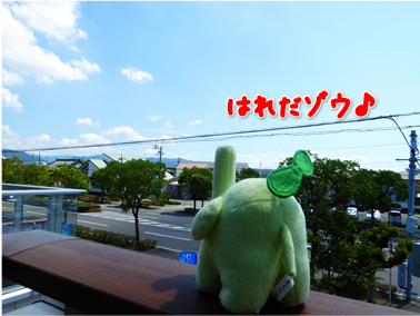 エコファント2