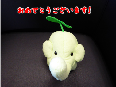 エコファント3