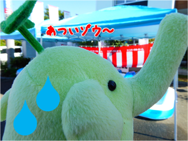エコファント3