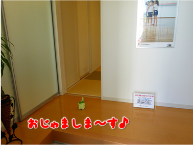 エコファント3