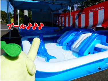エコファント4