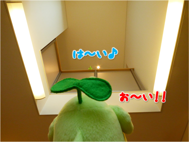 エコファント4