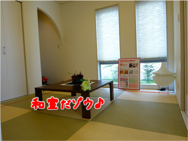 エコファント4