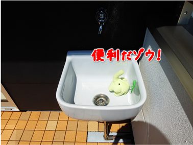エコファント4