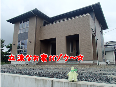 エコファント4