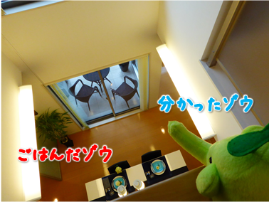 エコファント5