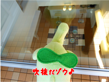 エコファント5