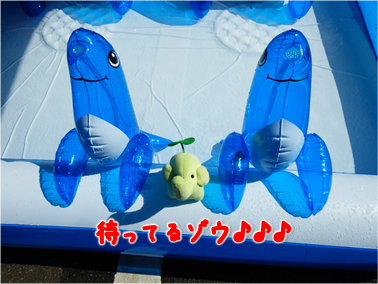 エコファント6