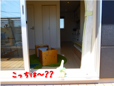 エコファント8